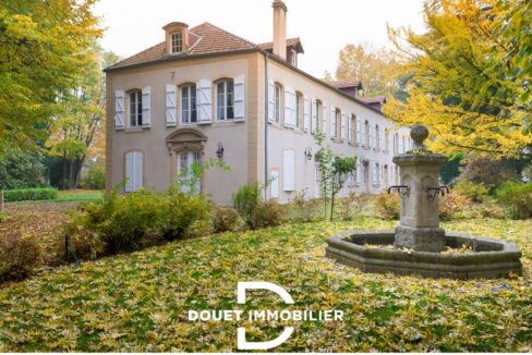 douet-immobilier-maison-de-maitre-ban-saint-martin-15-pieces-201024-03